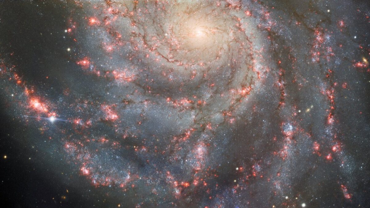 Image of Supernova in the Pinwheel Galaxy
